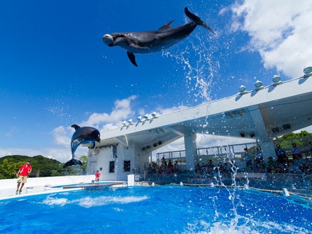 海きららは、九十九島の海を生きものを紹介した水族館です。_九十九島パールシーリゾート