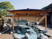 鳳来ゆ?ゆ?ありいなの写真1