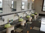 グリーンスパつつがの写真3