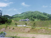 深入山グリーンシャワーの写真1