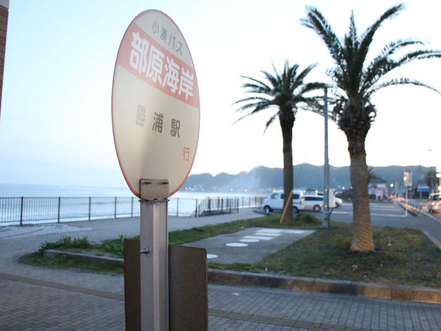 豊浜海水浴場