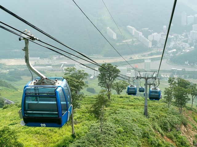Summer_苗場スキー場