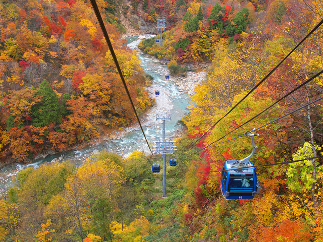 Autumn_苗場スキー場