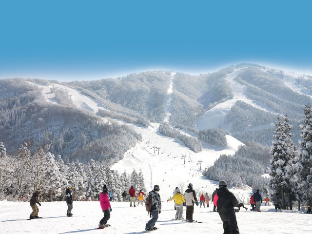 スキージャム勝山 ゲレンデ_スキージャム勝山