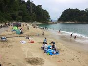 荒神海水浴場の写真1