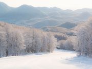 会津高原だいくらスキー場の写真3