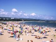 河原子海水浴場の写真1