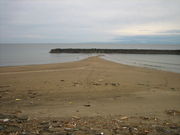 井鼻海水浴場の写真2