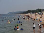 島尾海水浴場の写真1