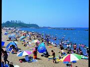 鷹巣海水浴場の写真1