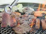 スキージャム勝山の写真4