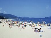 府中海水浴場の写真1