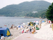 丸山県民サンビーチ海水浴場の写真1