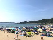 加太海水浴場の写真4