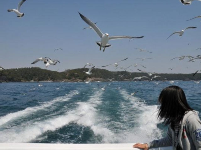 気仙沼ベイクルーズ
