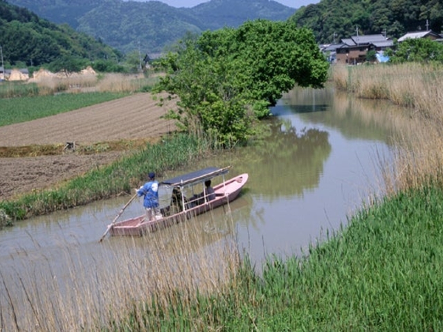 水郷めぐり(島真珠水郷観光船部)の写真1