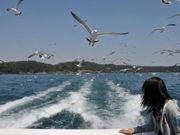 気仙沼ベイクルーズの写真2