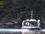 恵那峡遊覧船の写真3