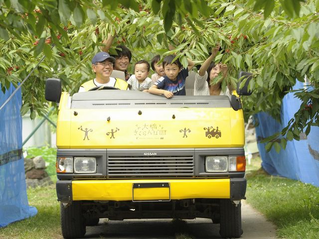平日は遠いところに送迎車でご案内_大橋さくらんぼ園