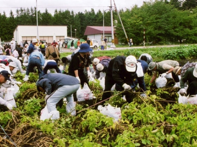 いも堀り体験農園の写真1