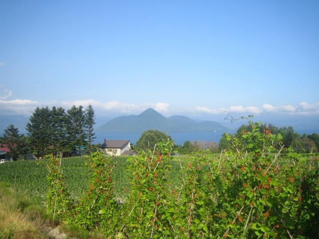 月浦観光果樹園の写真1