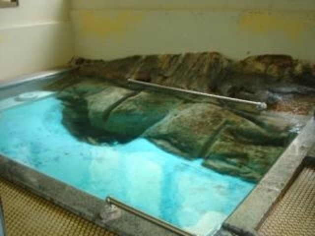 湯岐温泉