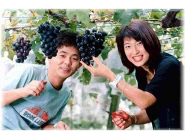 小島ぶどう園の写真1