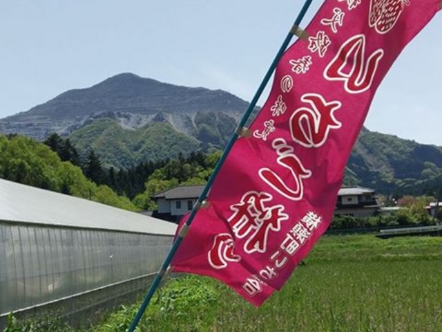 八木原農園