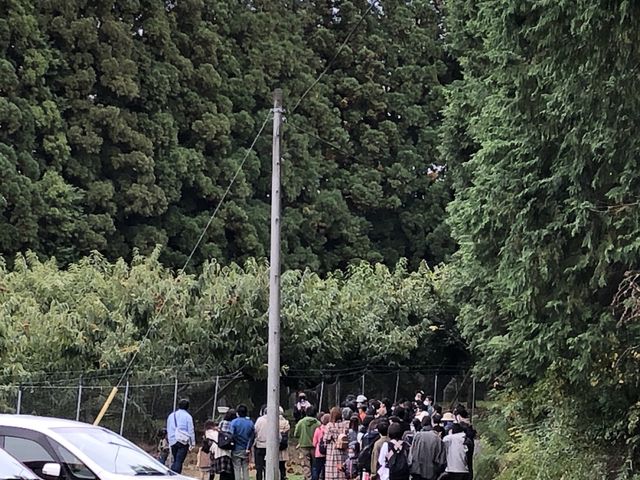栗拾い体験ツアー_山本農園