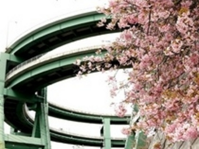 七滝温泉の写真1