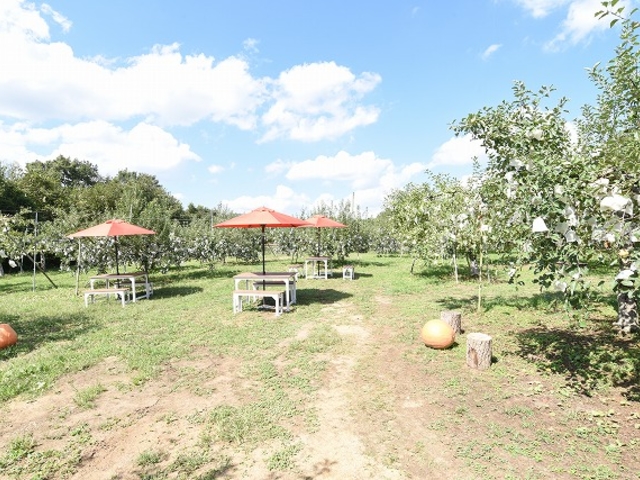 小石川観光りんご園