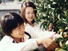 松田園/みかんの写真1