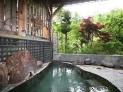 小安峡温泉の写真1