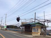 榛東村ぶどう郷の写真1
