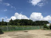 加藤ぶどう園の写真2
