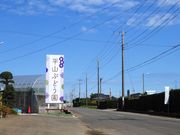 平山ぶどう園の写真3
