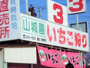 小曲町いちご狩りの写真1