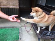 山本農園の写真4