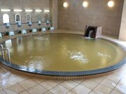 羽島市老人福祉センター 羽島温泉の写真1