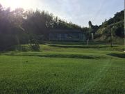井川みかん園の写真3