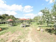 小石川観光りんご園の写真4