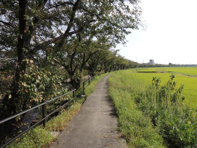 尾北自然歩道