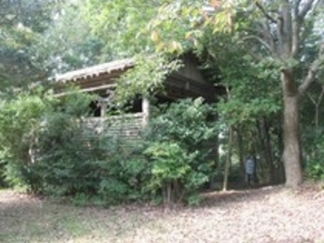 大平山野鳥の森の写真1