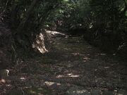 志々伎山遊歩道の写真1