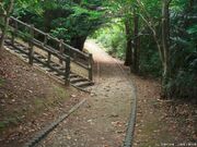 辺戸蔡温松並木保全公園(散策路)の写真3