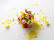 ランス ヤナギダテの写真1