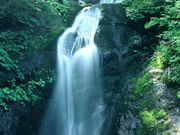 鮭川村観光協会の写真4