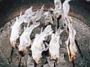 鹿沼フィッシングワールドの写真1