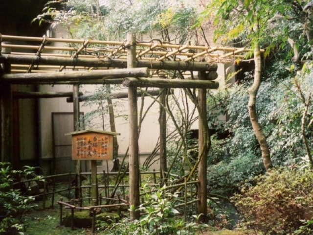 香橘寺の大南天