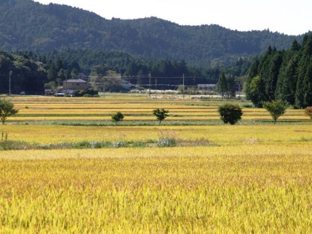 作手高原